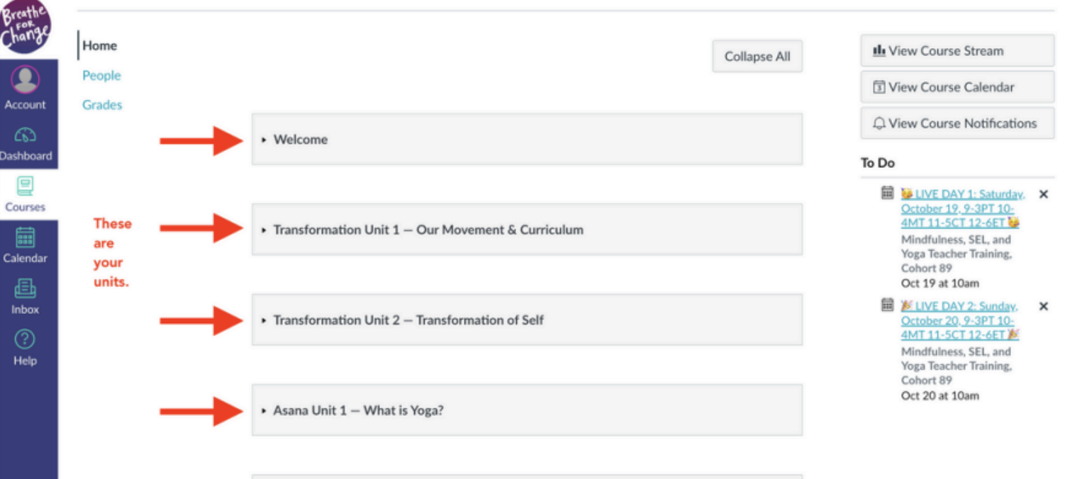 Canvas Curriculum Access &amp; Navigation Guide